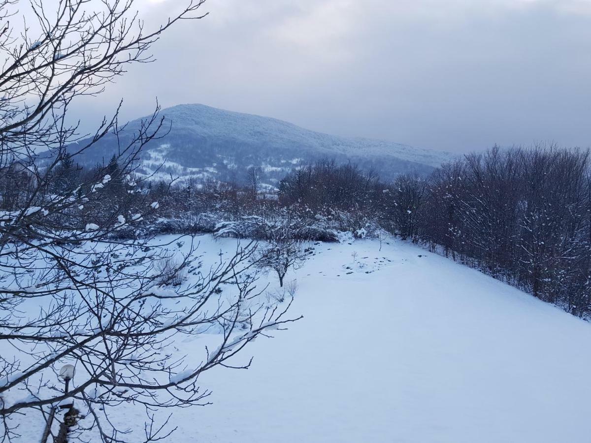 House Anamarija Hotel Selište Drežničko Kültér fotó